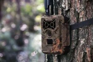 Trail Camera Rentals in Minnesota with Nationwide Shipping – High-quality motion-activated trail camera securely mounted on a tree, ideal for wildlife monitoring and outdoor security.