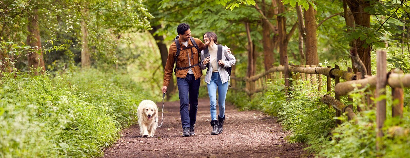 Couple with a dog hiking in the forest with hiking gear