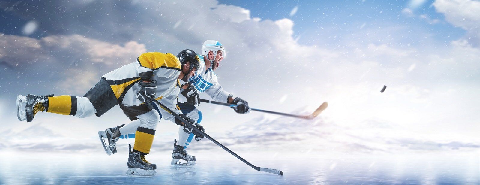 Two ice hockey players in action on the rink