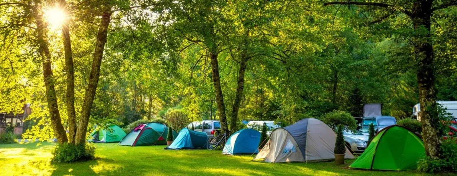 Corporate outdoor rentals setup with multiple tents in a scenic forest, representing team-building and outdoor retreat rentals by North Sport Rentals.