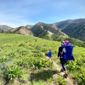 Family hiking through a scenic mountain trail in Minnesota