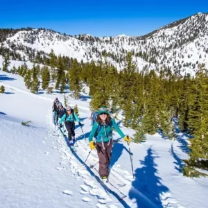 Group of backcountry skiers hiking up a snowy trail surrounded by evergreen trees and mountain peaks under a bright blue sky.