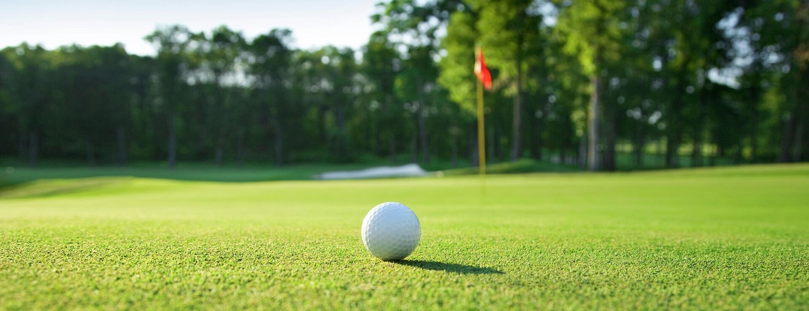 Golf Club Rentals Near Me - North Sport Rentals Golf club rentals with delivery – clean, high-quality sets for all skill levels