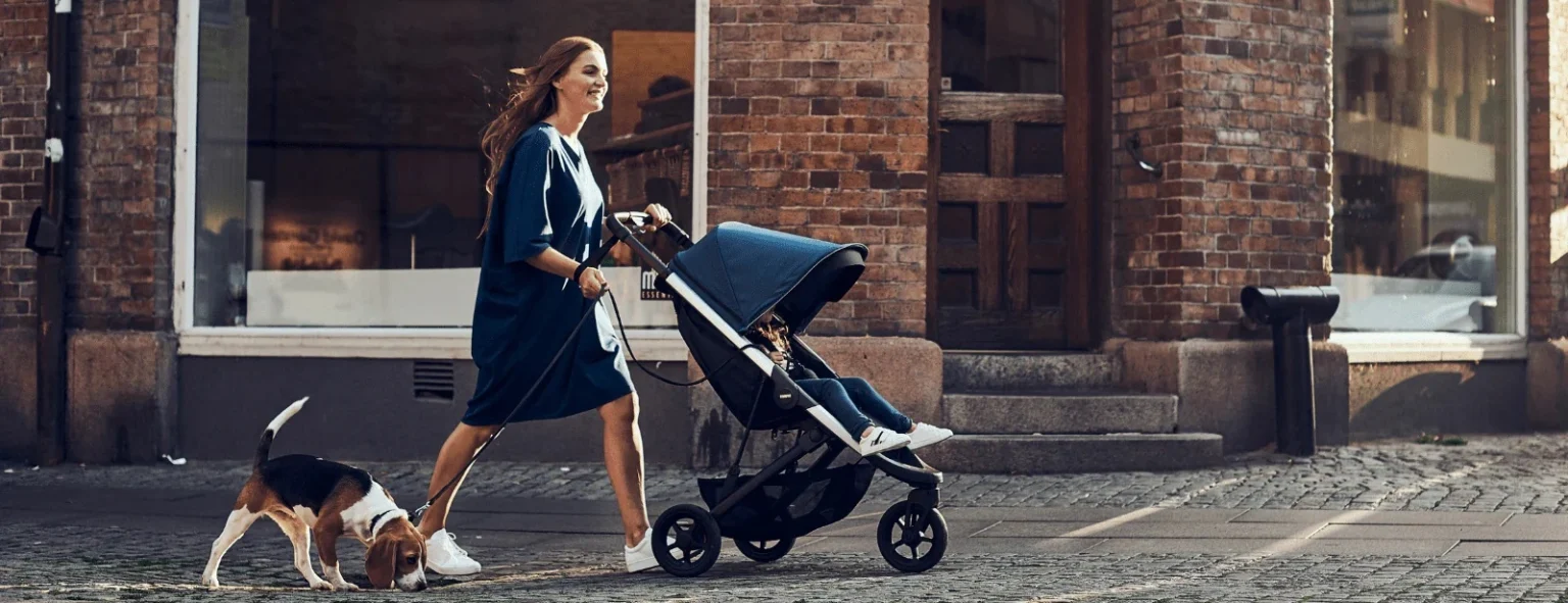 Аренда колясок Thule в Миннесоте – North Sport Rentals - North Sport Rentals Семья использует коляску Thule в Миннесоте